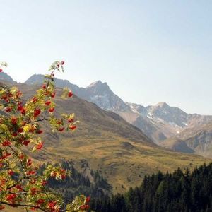 Meet your Posher, Julia ann